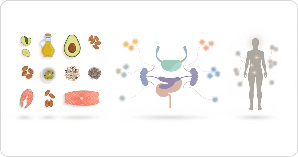 Синтез гормонов | Geropharm-trends.ru